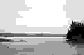 image45
