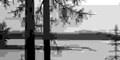 image44