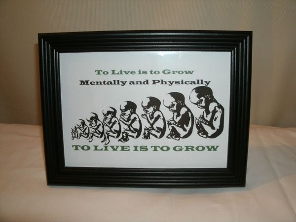 Live and Grow Framed Quote 5x7