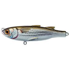Live Target Mullet Twitchbait  Armed Anglers guns bait tackle lures  charters fish ammo clothing
