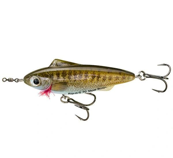 Unfair Lures Dinkum Mullet  Armed Anglers guns bait tackle lures charters  fish ammo clothing