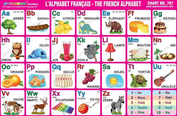 Chart No 787 L Alphabet Francais The French Alphabet
