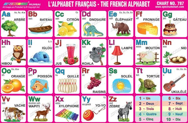 French Alphabet, language school poster - ESL letters chart (bilingual –  Long Bridge Publishing