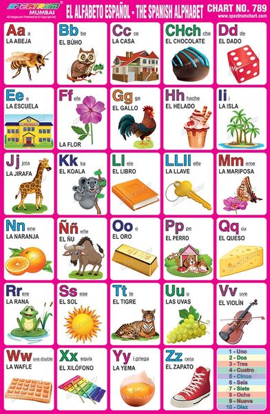 Chart No 789 El Alfabeto Espanol The Spanish Alphabet