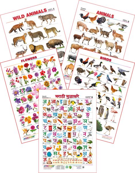 Spectrum Educational Large Wall Charts (Set of 5) : ( Marathi Mulakshare ,  Wild Animals , Domestic Animals , Birds & Flowers )