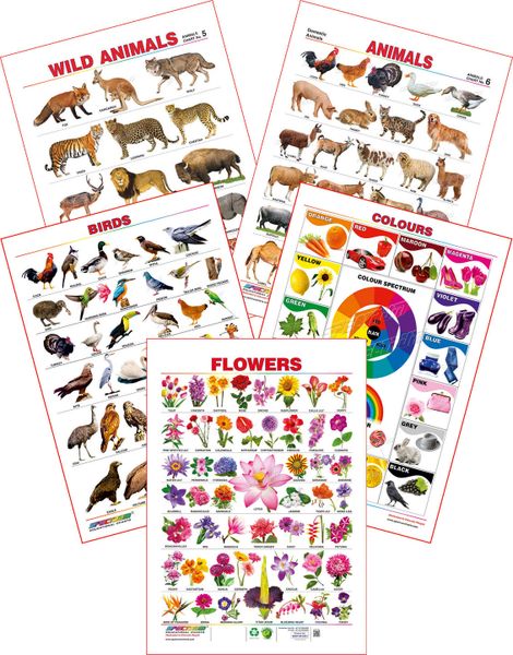 Spectrum Educational Large Wall Charts (Set of 5) : ( Wild Animals ,  Domestic Animals , Birds , Colours & Flowers )