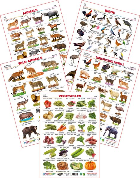 (Wild Animals, Domestic Animals, Vegetables, Animals & Birds ) ( 4 Language  -E,H,G,M ) - Spectrum Educational Wall Charts (Set of 5)