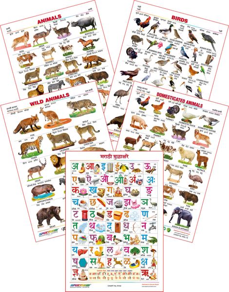 Spectrum Educational Wall Charts Set Of 5 Wild Animals Domestic Animals Marathi Mulakshare Animals Birds 4 Language E H G M