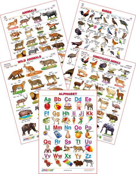 (Wild Animals, Domestic Animals, English Alphabet, Animals & Birds ) ( 4  Language -E,H,G,M ) - Spectrum Educational Wall Charts (Set of 5)