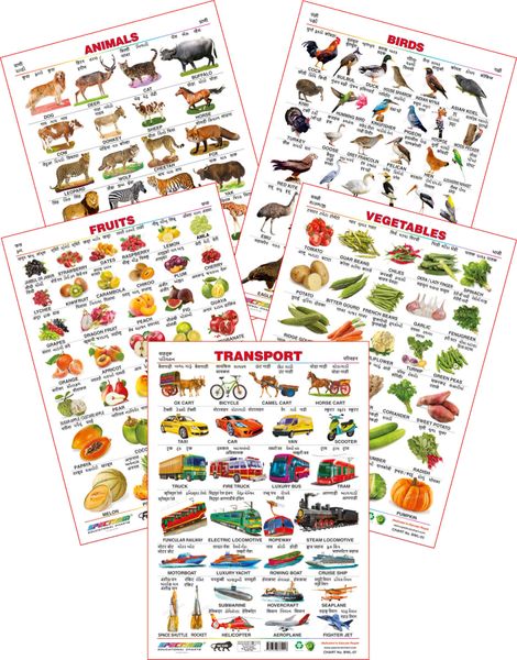 Spectrum Educational Wall Charts Set Of 5 Animals Birds Fruits