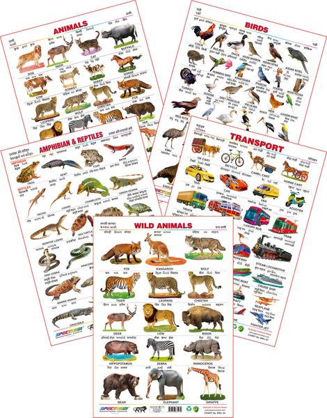 Spectrum Educational Wall Charts (Set of 5) : (Animals, Birds ...