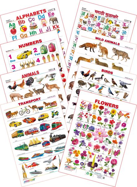 spectrum educational mini wall chart set of 8 set 14