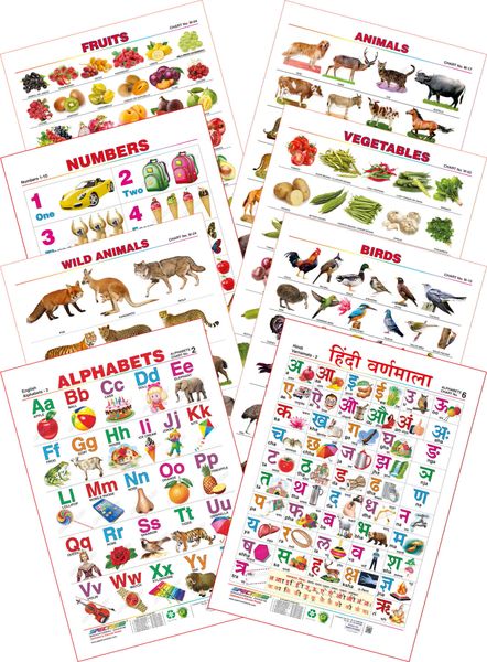 Spectrum Educational Mini Wall Chart Set Of 8 Animals Birds | Images ...