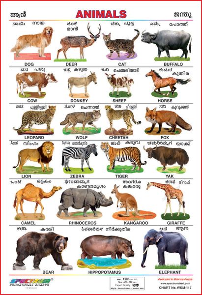 Spectrum Educational Mini Wall Chart (Set of 8) : ( Animals , Birds , Wild  & Domestic Animal , Fruits , Vegetables ,