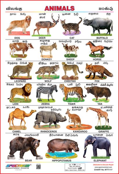 Top 143 + Pet animals information in telugu - Lestwinsonline.com