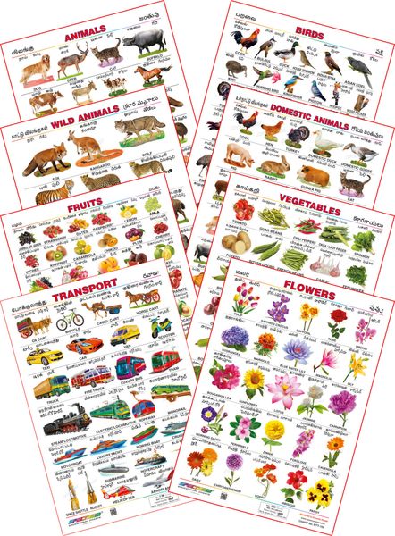 Spectrum Educational Mini Wall Chart (Set of 8) : ( Animals , Birds , Wild  & Domestic Animal , Fruits , Vegetables ,