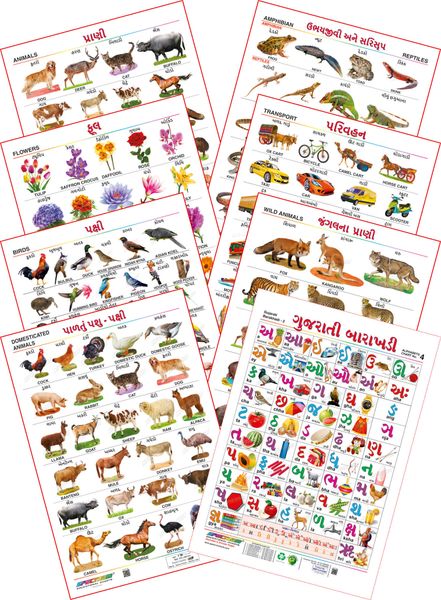 Spectrum Educational Mini Wall Chart Set Of 8 Animals Birds Wild Domestic Animal Flowers Transport Amphibian Reptiles Gujarati Barakhadi English And Gujarati Language Set 18