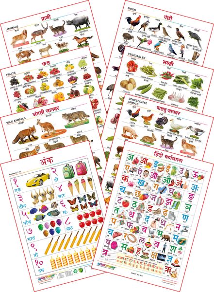 Spectrum Educational Mini Wall Chart (Set of 8) : ( Animals , Birds , Wild  & Domestic Animal , Fruits , Vegetables , Numbers 1-10 & Hindi Varnamala )  (English And Hindi Language) Set 6