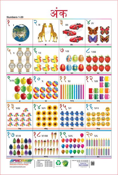 Spectrum Educational Mini Wall Chart Set Of 8 Animals Birds Wild Domestic Animal Fruits Vegetables Numbers 1 Transport English And Hindi Language Set 7