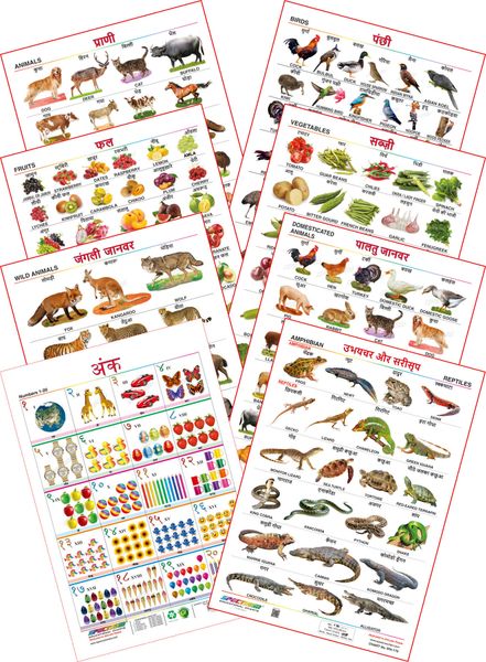 Spectrum Educational Mini Wall Chart (Set Of 8) : ( Animals , Birds ...