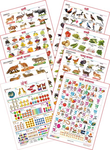 Spectrum Educational Mini Wall Chart (Set of 8) : ( Animals , Birds , Wild  & Domestic Animal , Fruits , Vegetables , Numbers 1-20 & Hindi Varnamala )  (English And Hindi Language) Set 10