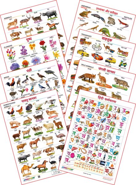 Spectrum Educational Mini Wall Chart (Set of 8) : ( Animals , Birds ...