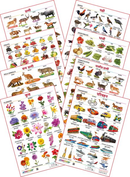 Spectrum Educational Mini Wall Chart Set Of 8 Animals Birds Wild Domestic Animal Fruits Vegetables Flower Transport English And Marathi Language Set 1