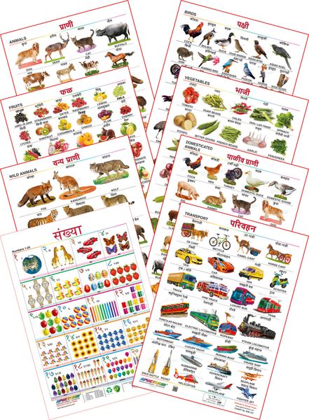 Spectrum Educational Mini Wall Chart Set Of 8 Animals Birds