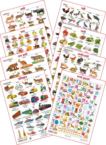 Spectrum Educational Mini Wall Chart (Set Of 8) : ( Animals , Birds ...