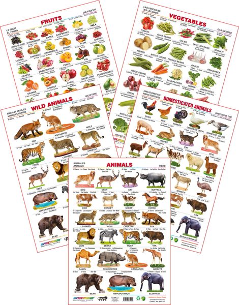 Spectrum Educational Wall Charts (Set of 5) : (Wild Animals, Domestic ...