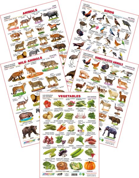Spectrum Educational Wall Charts (Set of 5) : (Wild Animals, Domestic  Animals, Vegetables, Animals & Birds ) ( Foreign Language -E,S,F,G )