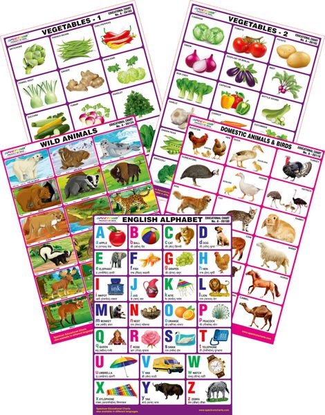 Spectrum Mirror Coat Educational Charts (Set of 5) : Set 61 ( English  Alphabet , Wild & Domestic Animals , Vegetables 1 & 2 )