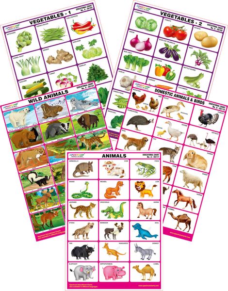 Spectrum Mirror Coat Educational Charts (Set of 5) : Set 62 ( Animals ,  Wild & Domestic Animals , Vegetables 1 & 2 )