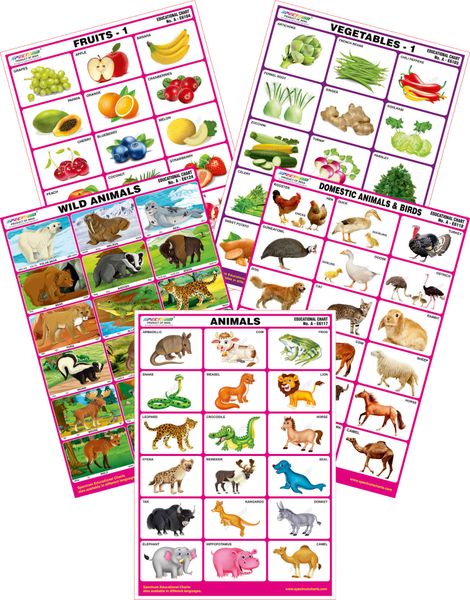 Spectrum Mirror Coat Educational Charts (Set of 5) : Set 66 ( Animals ,  Wild & Domestic Animals , Fruits 1 & Vegetables 1 )