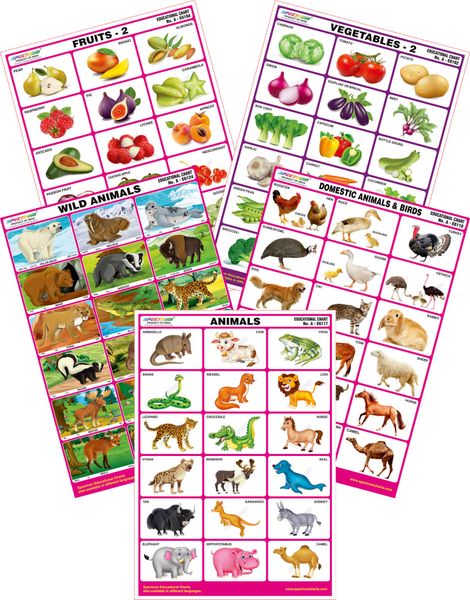 Spectrum Mirror Coat Educational Charts (Set of 5) : Set 70 ( Animals ,  Wild & Domestic Animals , Fruits 2 & Vegetables 2 )