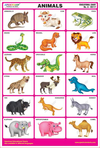 Spectrum Mirror Coat Educational Charts (Set of 5) : Set 70 ( Animals ,  Wild & Domestic Animals , Fruits