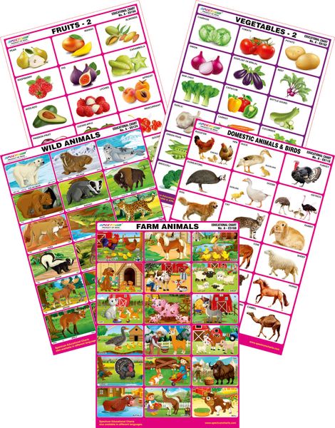 Spectrum Mirror Coat Educational Charts (Set of 5) : Set 72 ( Farm ...