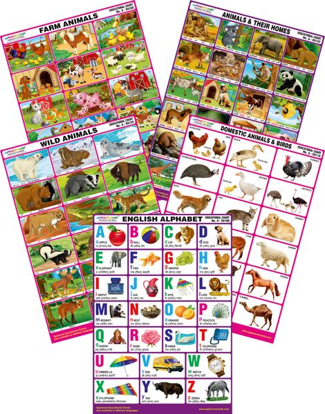 Spectrum Mirror Coat Educational Charts Set Of 5 Set 73 English