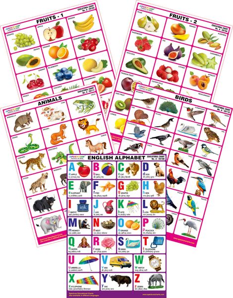 Spectrum Mirror Coat Educational Charts (Set of 5) : Set 74 ( English ...