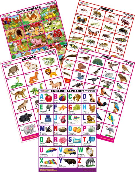 Spectrum Mirror Coat Educational Charts Set Of 5 Set 79 English