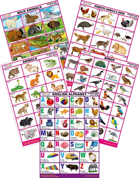 Spectrum Mirror Coat Educational Charts (Set of 5) : Set 80 ( English ...