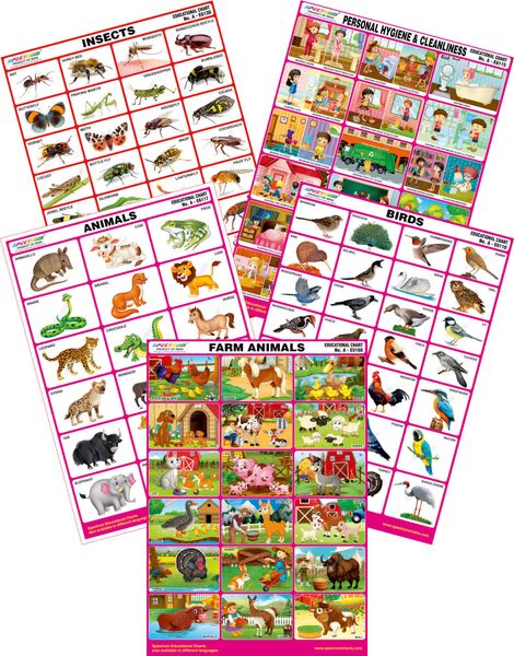 Spectrum Mirror Coat Educational Charts Set Of 5 Set 92 Farm