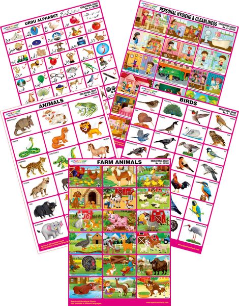 Spectrum Mirror Coat Educational Charts (Set of 5) : Set 95 ( Farm ...