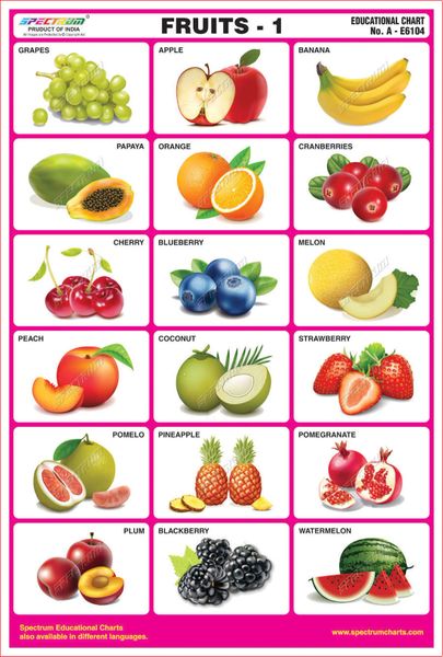 Spectrum Mirror Coat Educational Charts Set Of 5 Set 99 English Alphabet Fruits 1 2