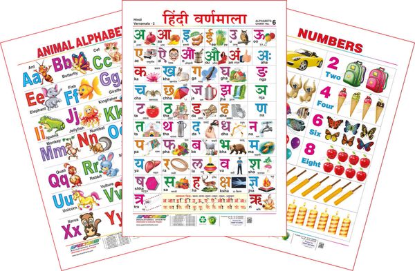 Spectrum Educational Large Wall Charts (Set of 3) : ( Animal Alphabet ...