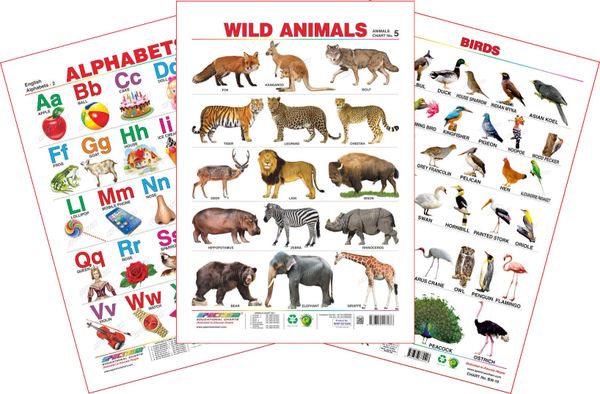 Spectrum Educational Large Wall Charts (Set of 3) : ( English Alphabet ...