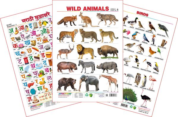 Spectrum Educational Large Wall Charts (Set of 3) : ( Marathi Mulakshare ,  Wild Animals & Birds )