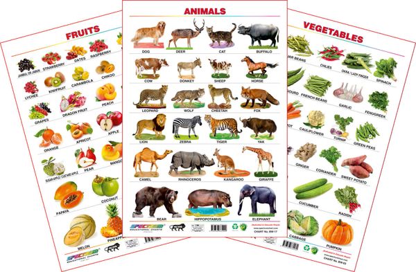 Spectrum Educational Large Wall Charts (Set of 3) : ( Animals , Fruits &  Vegetables )