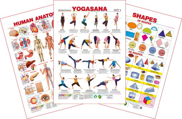 Spectrum Educational Large Wall Charts Set Of 3 Human Anatomy Yogasana 1 Shapes