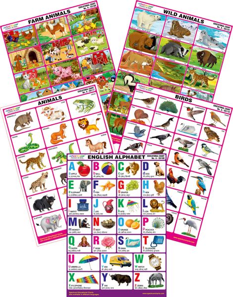 Spectrum Mirror Coat Educational Charts (Set of 5) : Set 115 ( English ...